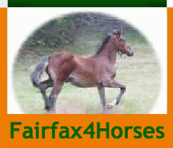 Fairfax For Horses Logo
